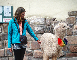 A Cherokee-American woman in a turquoise parka, petting a disinterested llama or alpaca